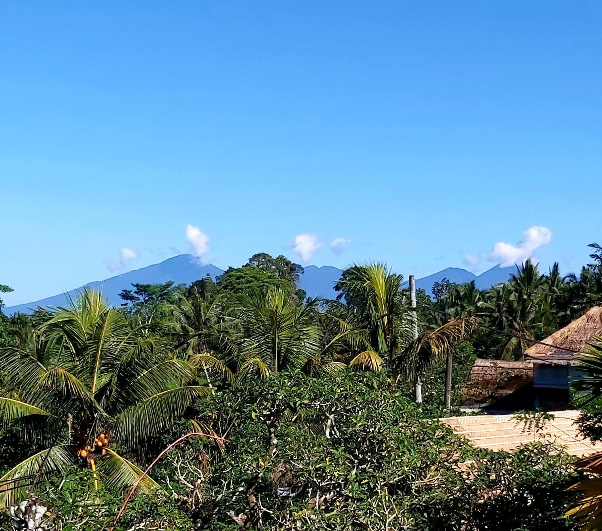 Mandala Blu Wellness Hotell Ubud Eksteriør bilde